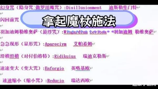 在决斗俱乐部夺取对手魔杖的咒语