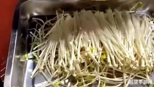 配菜网